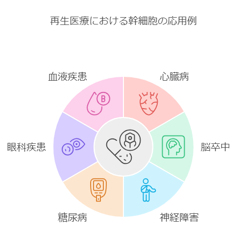 幹細胞の再生医療への応用例