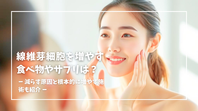 線維芽細胞を増やす食べ物・サプリは？