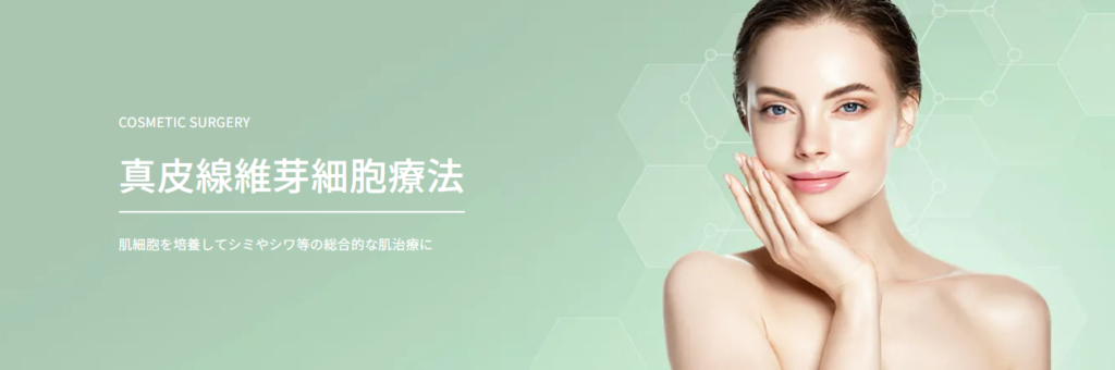 TAクリニック真皮線維芽細胞療法